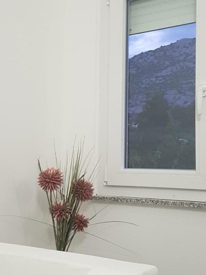 Vila Velvet Hotell Starigrad Paklenica Exteriör bild